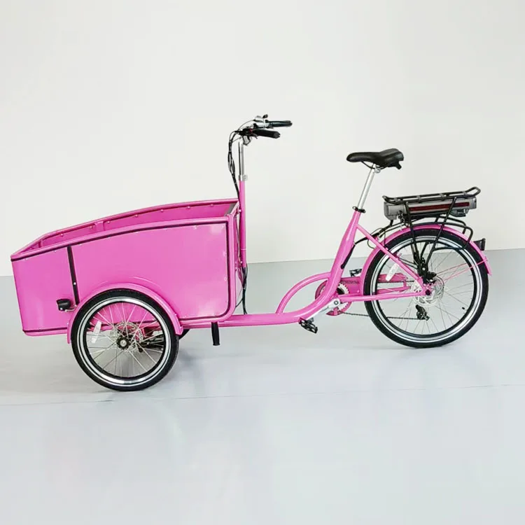 Power Assist Tre Ruote Trike Elettrico Cargo Bike Tricicli Batteria Al Litio Motore Mozzo Posteriore Tdb-07 Acciaio 24 "Telaio 6 Velocità 36V