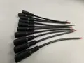 10 Female  black