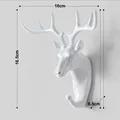 Deer-white