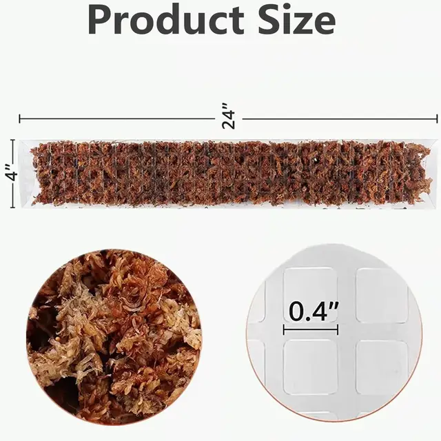 4Db -Os Növényoszlopok Beállított Vonatnövények Felfelé Nőnek A Kerti Növények Támogatása Beltéri Mászó Számára - Image 2