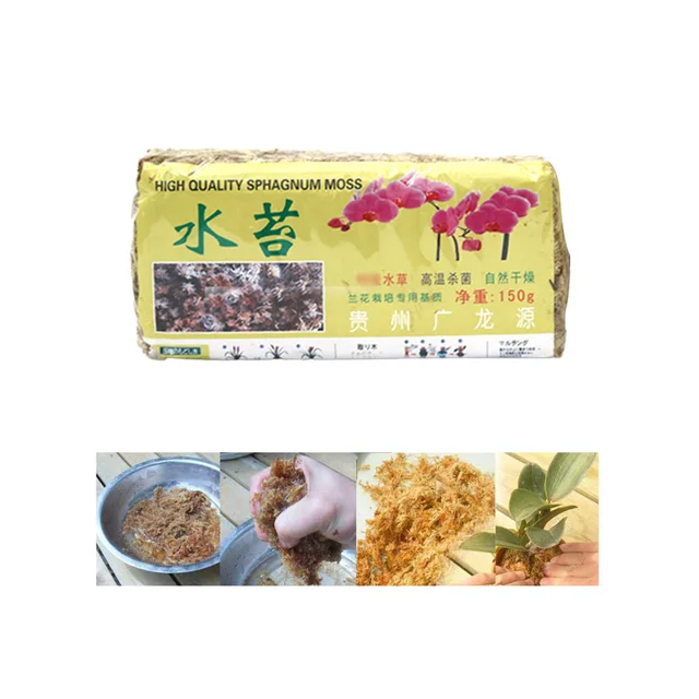 Növények Sphagnum Moha, Szárított Táplálkozási Szerves Műtrágya, Természetes Moha Az Orchidea Falaenopsis Virágához