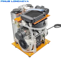 Pinus longaeva Y2 PSA 5L 93% 96% high-concentration oxygen concentrator Ozone machine gas source