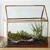Geometric Glass House / Handmade Glass Terrarium / Modern Planter for Indoor Gardening / Desktable Vase / Stained Glass Box 1