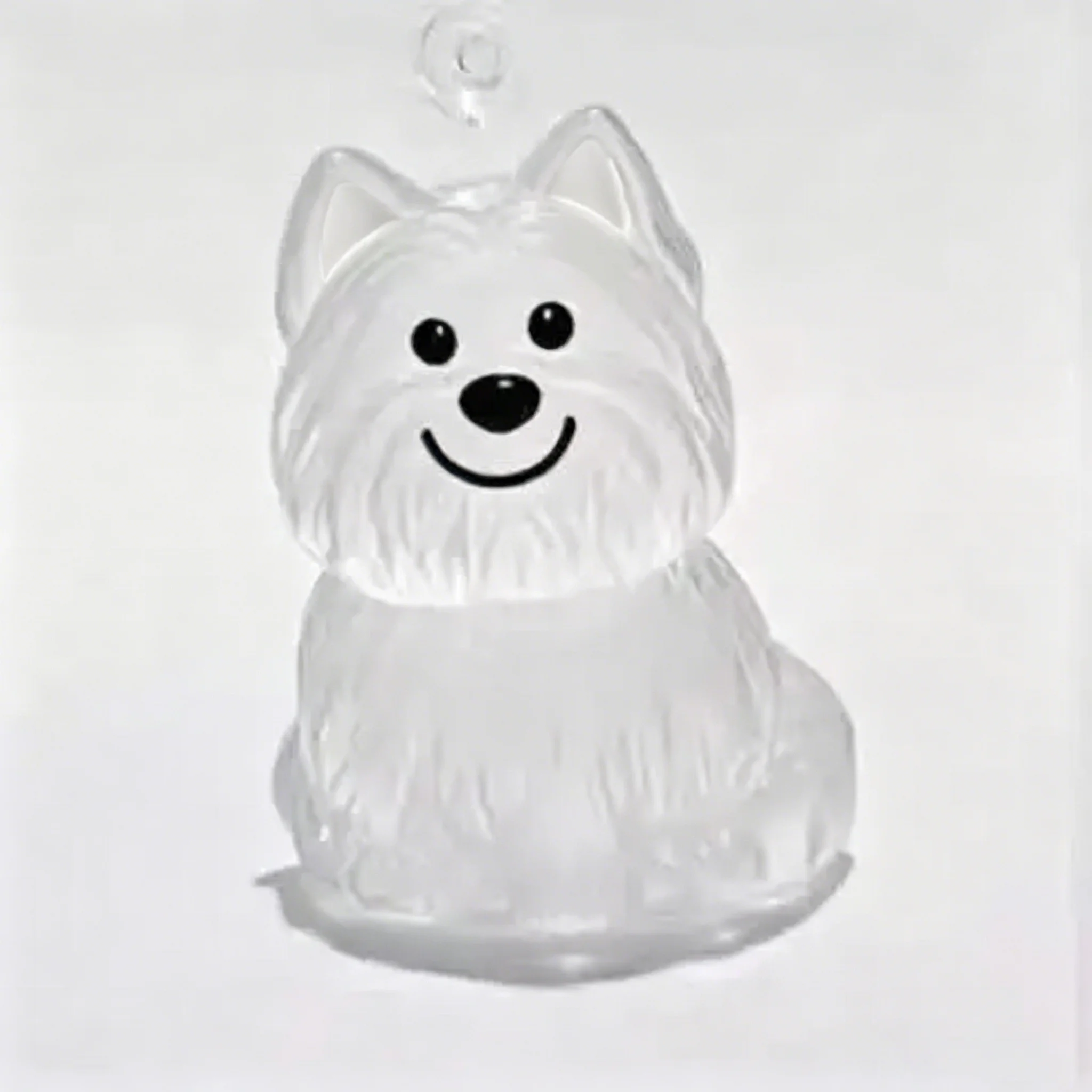 Dog4