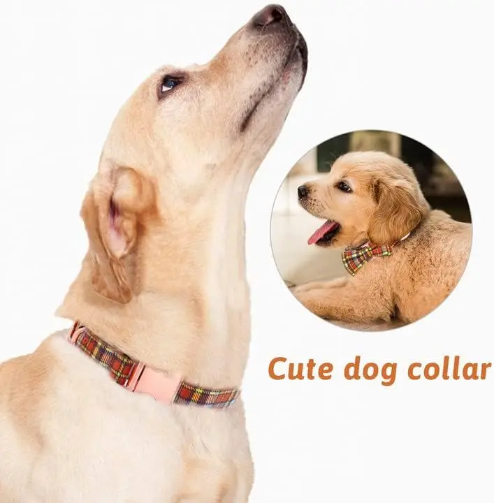 Plaid Dog Collar & Leash Set with Bow Tie – Adjustable Cute Puppy Collar with Durable Metal Buckle