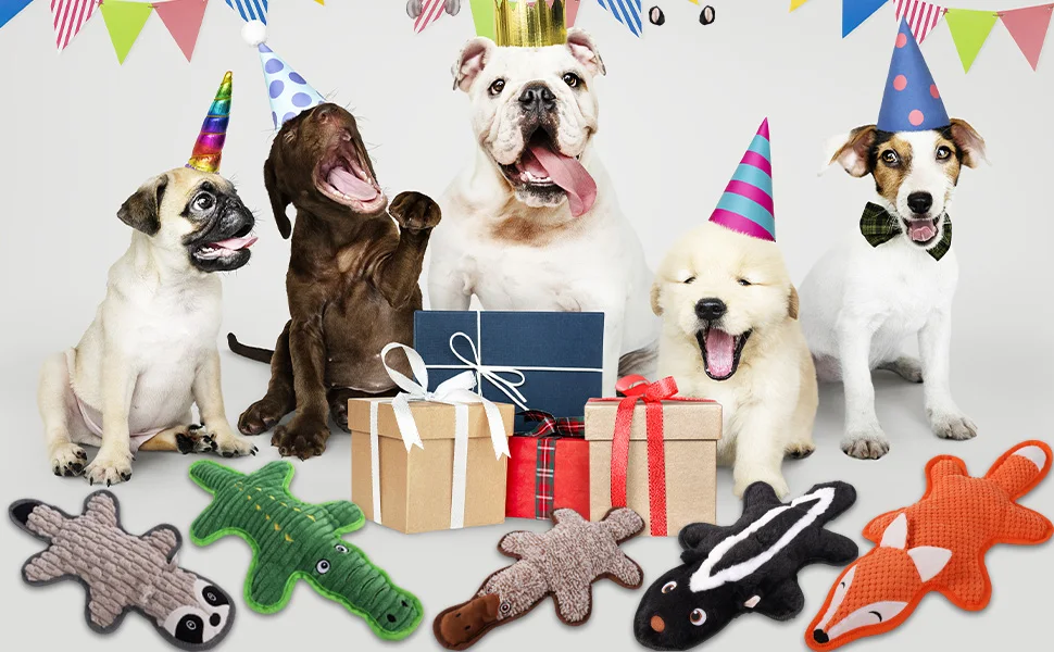 Dog Birthday Gift Set