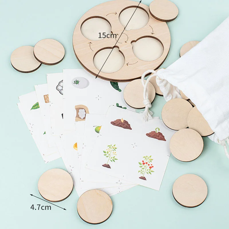 Life Cycle Board Montessori Kit Biology Science Education Toys For Kids Sensory Tray Animal Figure Life Cycle Sorting Wooden Toy 5