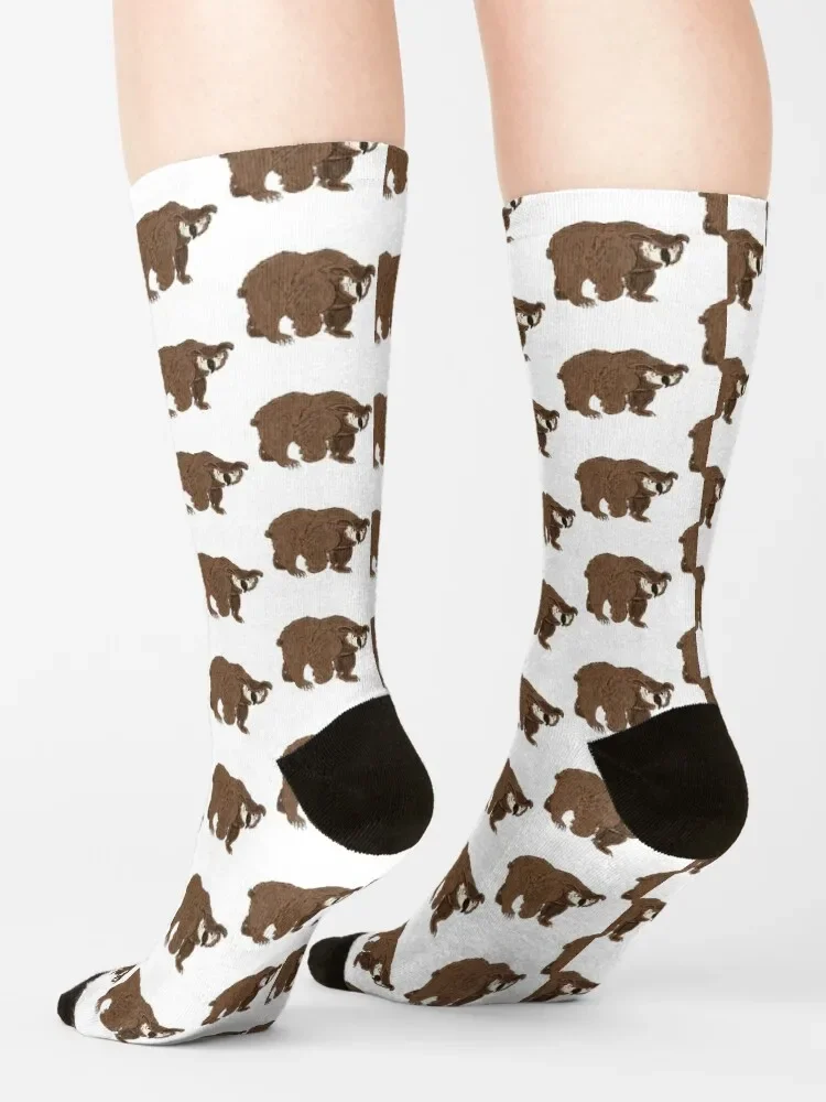 Owlbear Socks Soccer crazy Rugby Socks For Man Women's