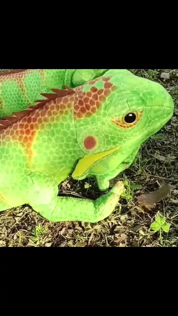リアルなグリーン/ブラウンイグアナトカゲ置物モデルかわいい爬虫類