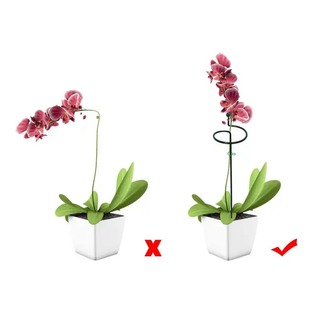 5Dcs Kerti Tartó Tétgyűrű Fém Növényi Ketrecek Egy Szárú Cserjék Rögzítő Klip Virág Paradicsomhoz Liliom Bazsarózsa Rózsa - Image 5