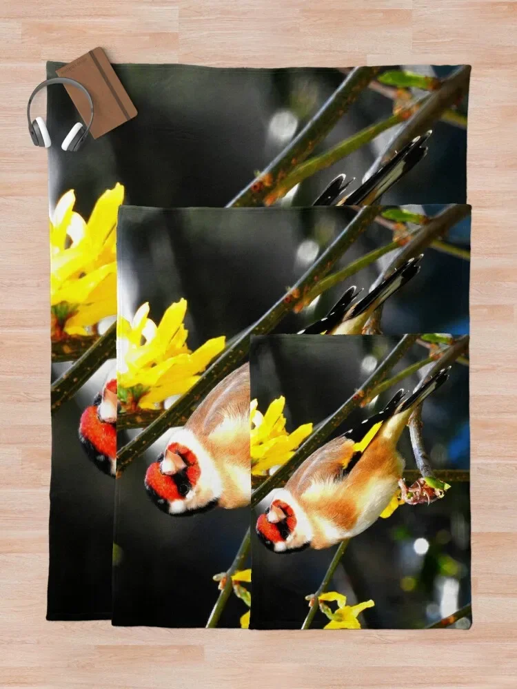 ��ŷ ���ο� ���, ���� ���� ���, ����� �̺� ���