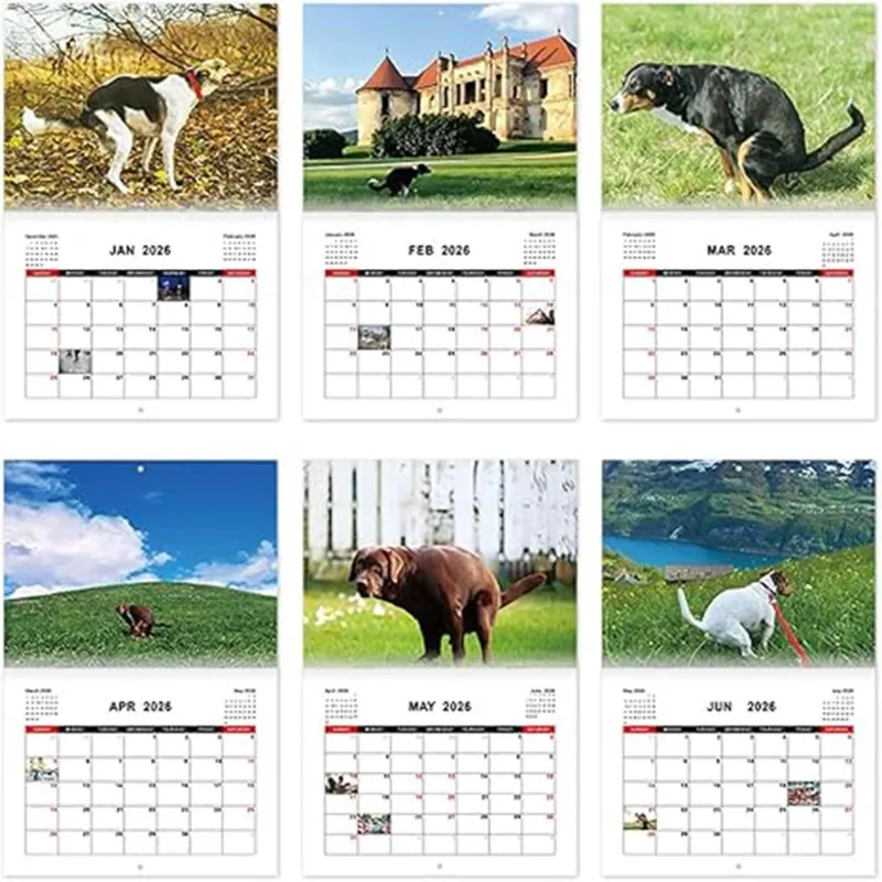 A Calendar with Important Annotations and Interesting Gift Space, Suitable for Convenient Home Decoration for Dog Lovers