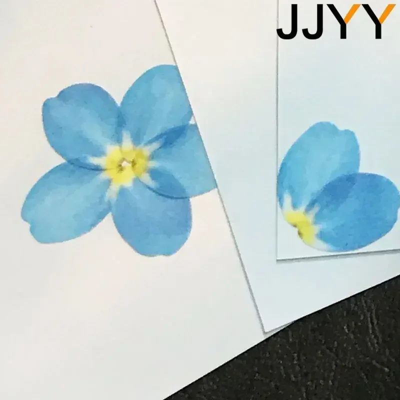 DIY 스크랩북킹 와시 테이프 꽃잎 접착식 종이 공예 문구류 홈 데코 카드 만들기