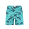 Cartoon Cute Pineapple 3d Printed Shorts For Men Fruit Watermelon Casual Beach Shorts Quick Dry Fashion Streetwear Short Pants 2