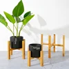 Indoor Display Plant Stand 3