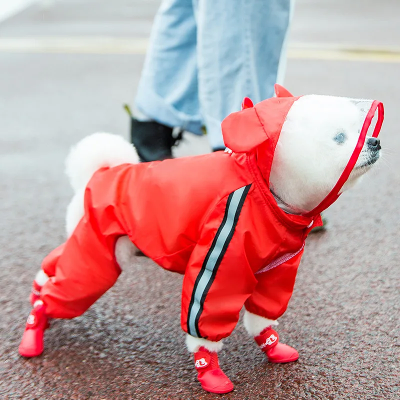 thumbnail image 1 of Chubasquero con capucha para perros y gatos, chaqueta impermeable de tafetán de poliéster para perros pequeños, ropa para perros al aire libre al por mayor, 1 of 5