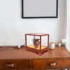 Wood Base Clear Glass Dome Display Case Dust Proof Storage Box Home Decor Shelf Antiques Figurine Holder Craft Model Case 4
