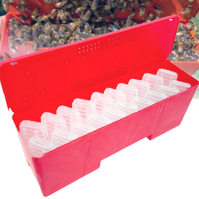 Jzbz Queen Szállítási Akkumulátor Doboz Utazó Tranzitszállító Szállító Átruházás Intrudukciós Ketrecekkel Méhészeti Eszközökkel