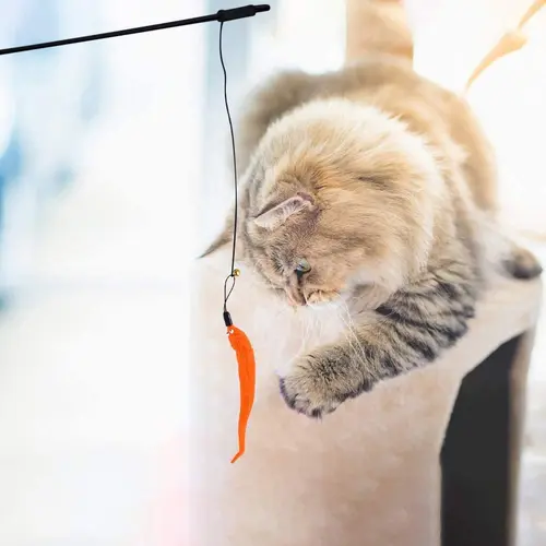 벨 교체 리필 폼 볼 훈련 새끼 고양이 장난감, 인터랙티브 고양이 깃털 장난감 액세서리, 가짜 마우스 웜 장난감, 5-100PC 5