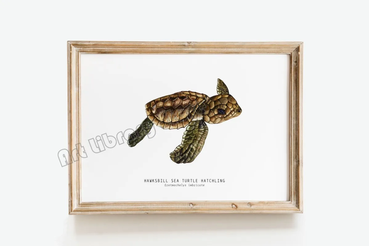 Marine Life Ocean Animals Canvas Art Poster - Whales, Sharks, and Turtles