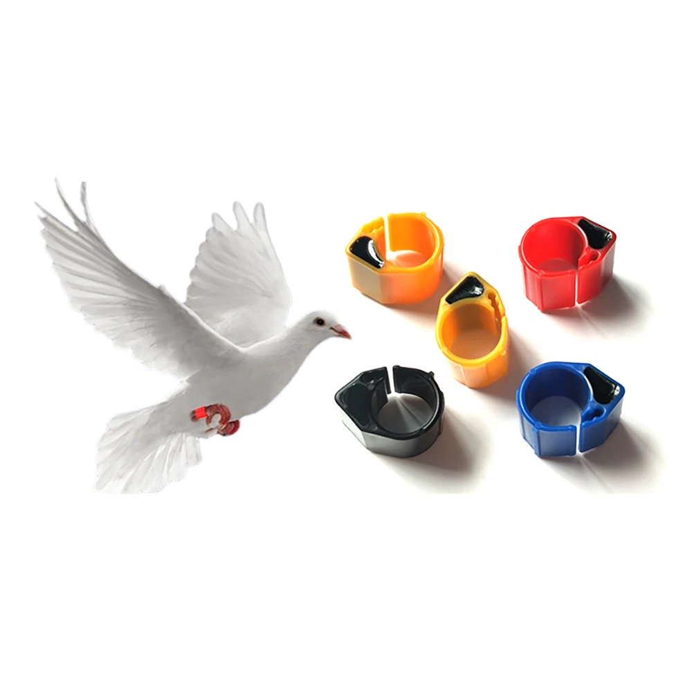 RFID Pigeon Rings for Animal Tracking and Management - 10 Pack