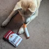 Creative Cigarette Interactive Giggles Dog Toys Funny Plush Chewing Toy with Squeaking Sound Dog Toy Cigaret Box Good Pet Gifts 6