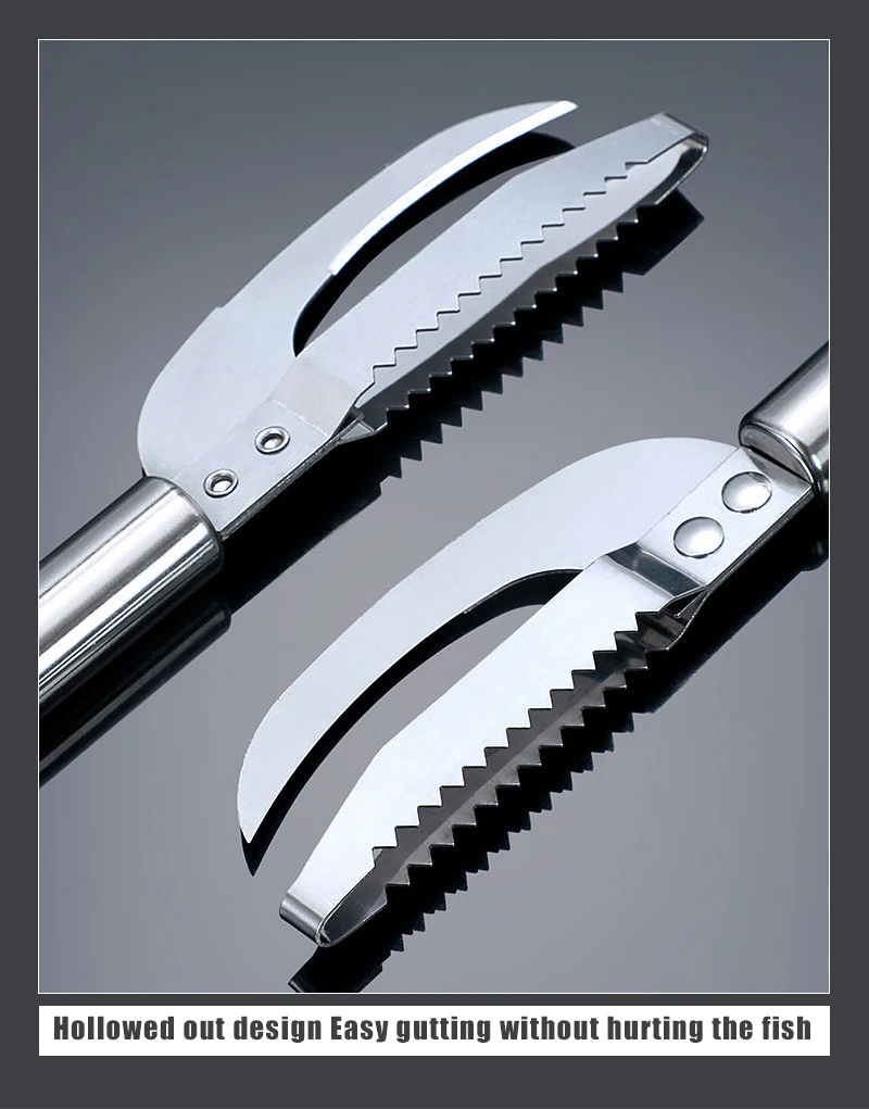 Scale Fish Scraper - Angle 4