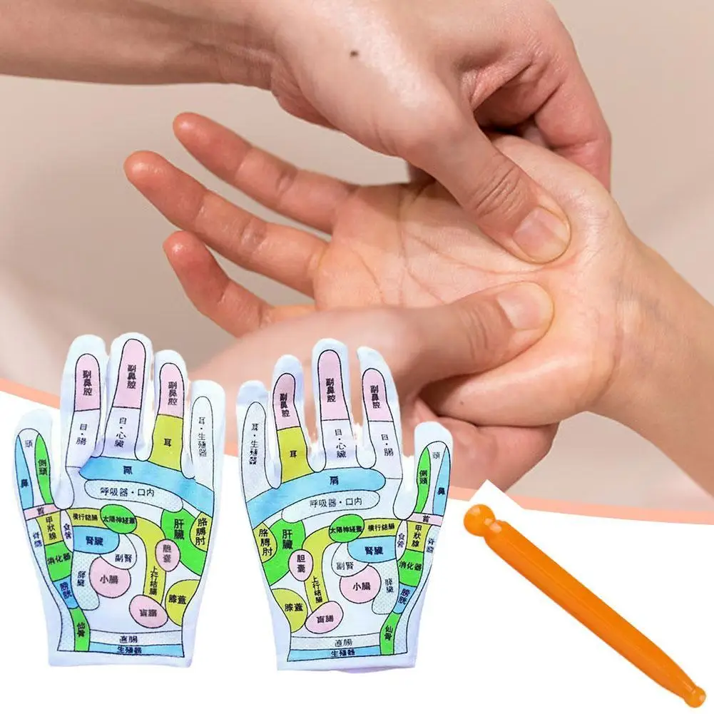 

Acupoint Glove Reflection Area Massage Meridian Hand Therapy Cultural Illustration Traditional Chinese Medicine Conditioning