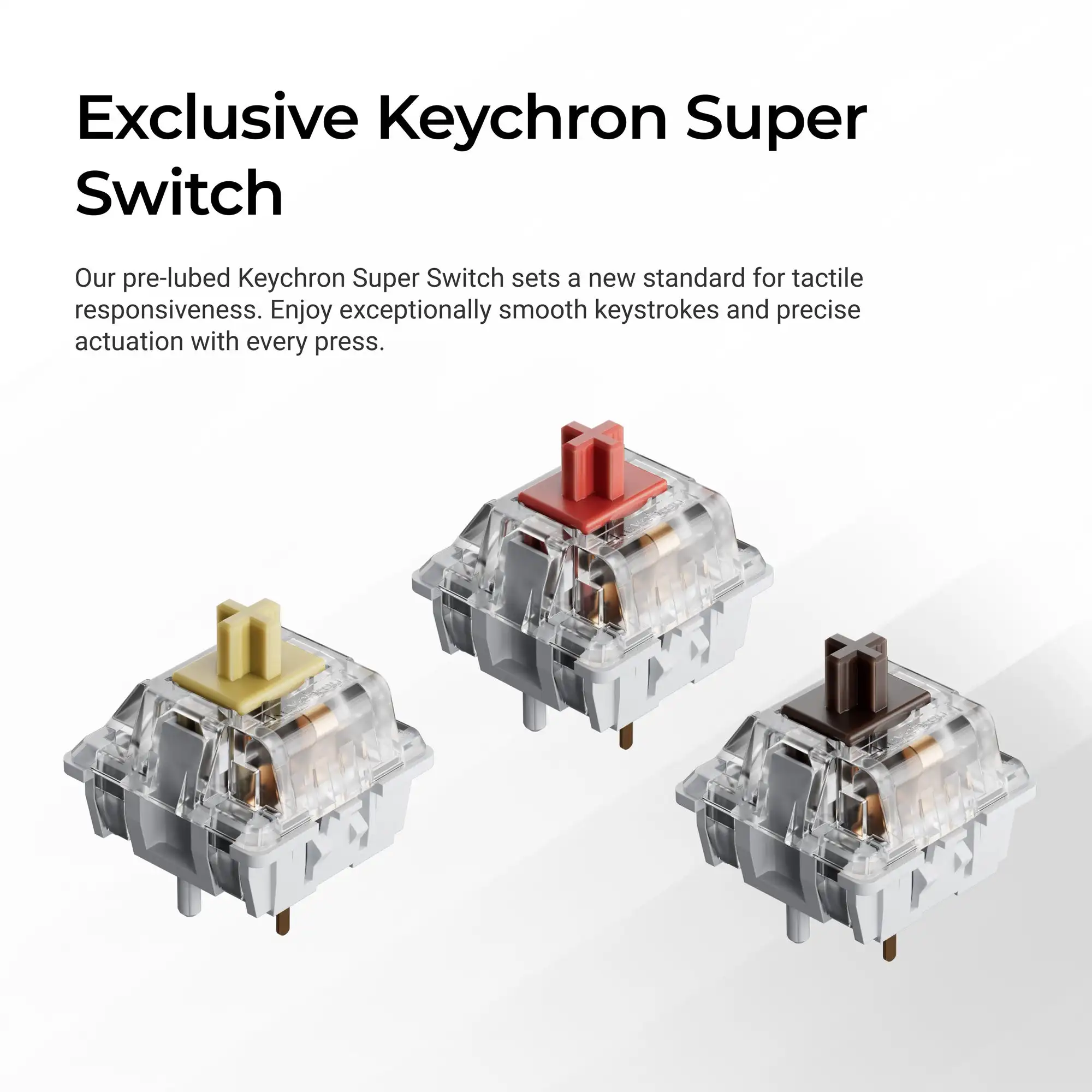 dsc-products