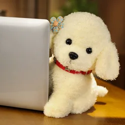 Lovely Curly Hair Teddy Dog Plush Toy with Collar and Head Flower - Soft Stuffed Animal - 28cm (Card issuance 1)