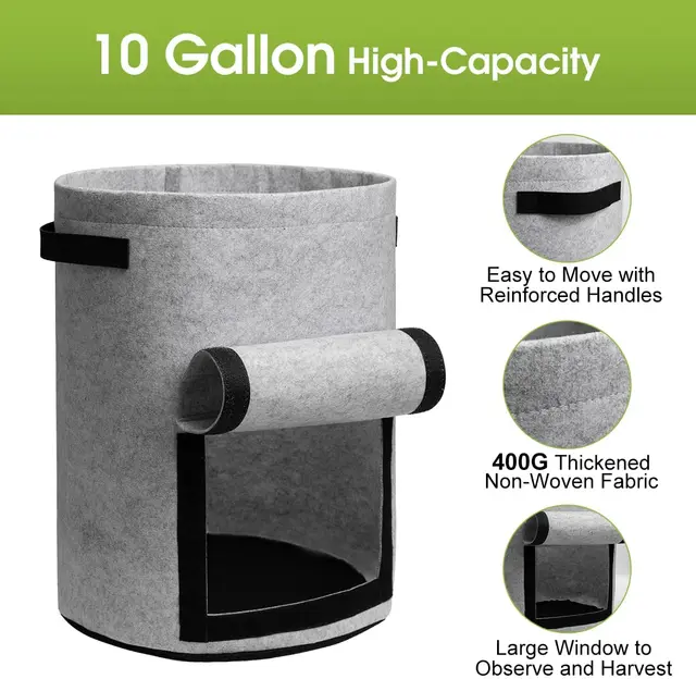 grey-10-gallon