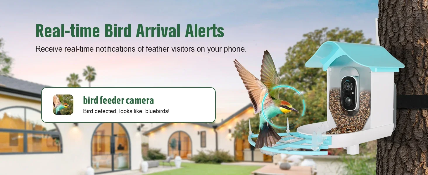 Bird Feeder