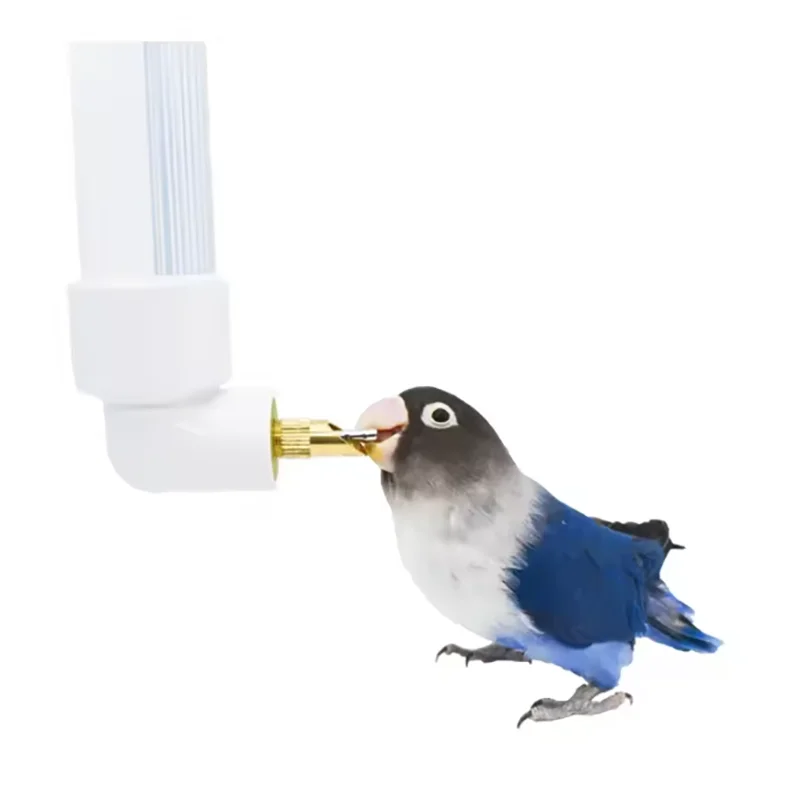 Parrot Automatic Water Dispenser Equipment For Birds
