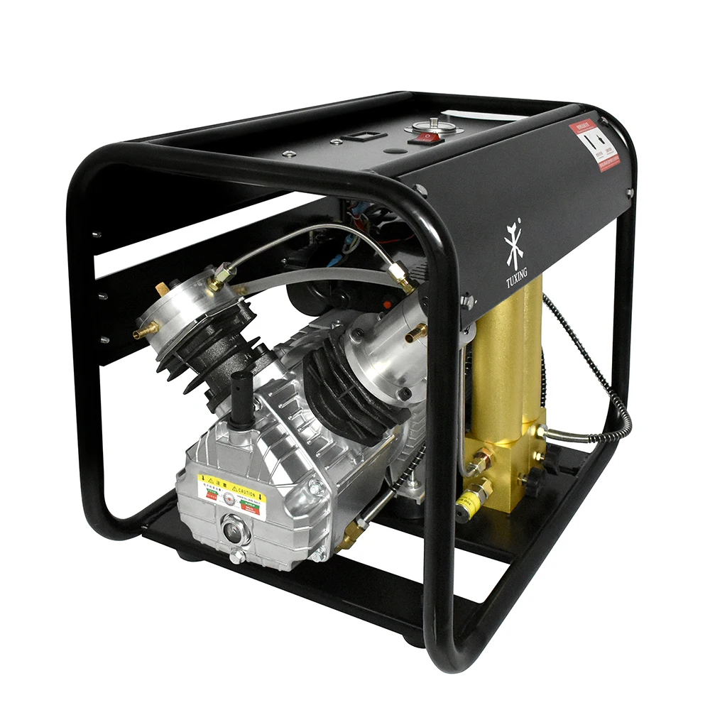 Compresseur D'air Acecare 4500PSI/300Bar 100L/min Pour PCP Et Plongée - Modèle ESB042 110V