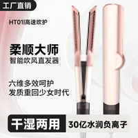 Sèche-cheveux et lisseur 2-en-1 Ht01, peigne lissant à ions négatifs pour utilisation sur cheveux secs et humides, lisseur de cheveux non dommageable, outil de coiffage multifonctionnel 1