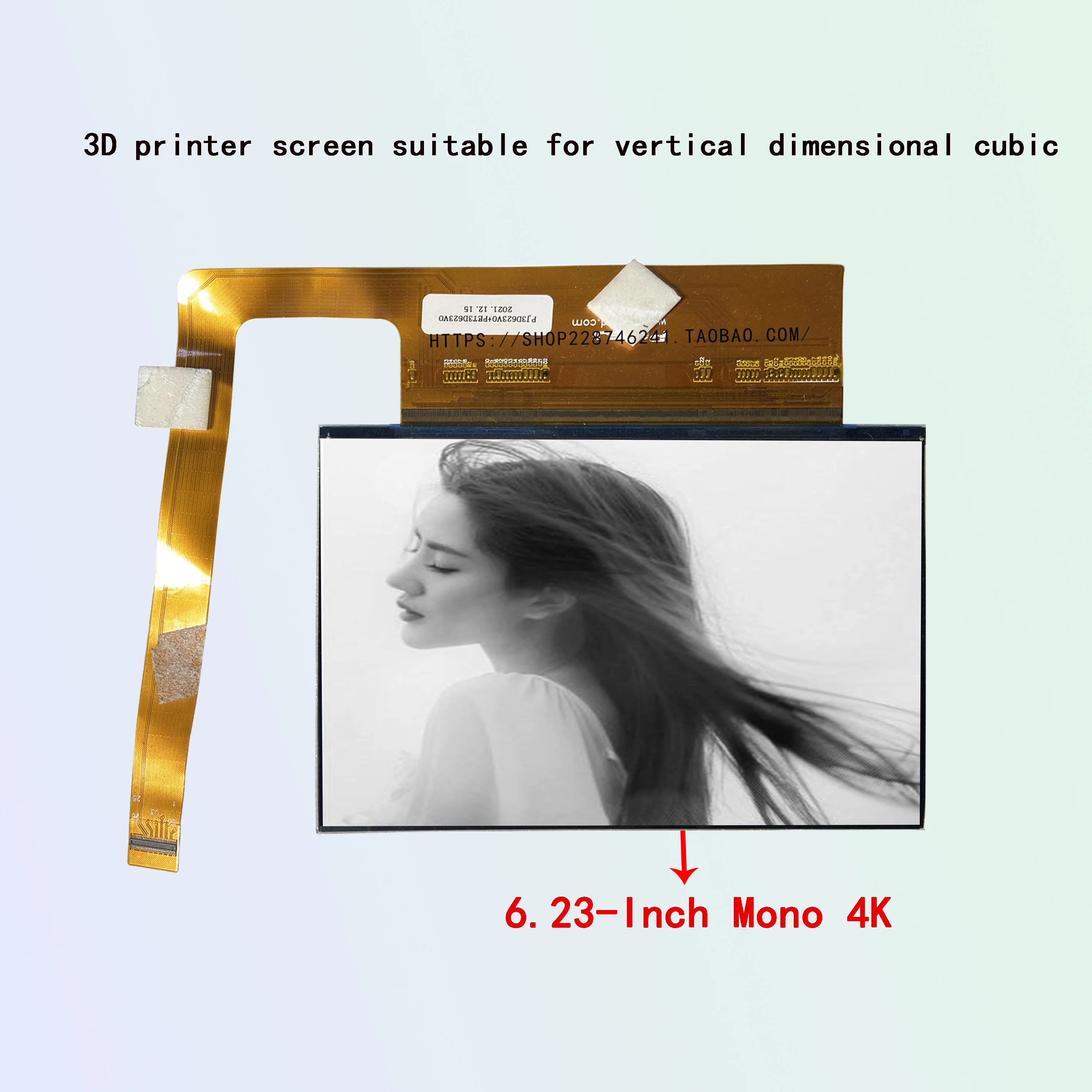 ��� ��ũ���� ���� UV ��ȭ 3D �����Ϳ� ������ 6.23��ġ Photon Mono 4K ��� ��ũ��