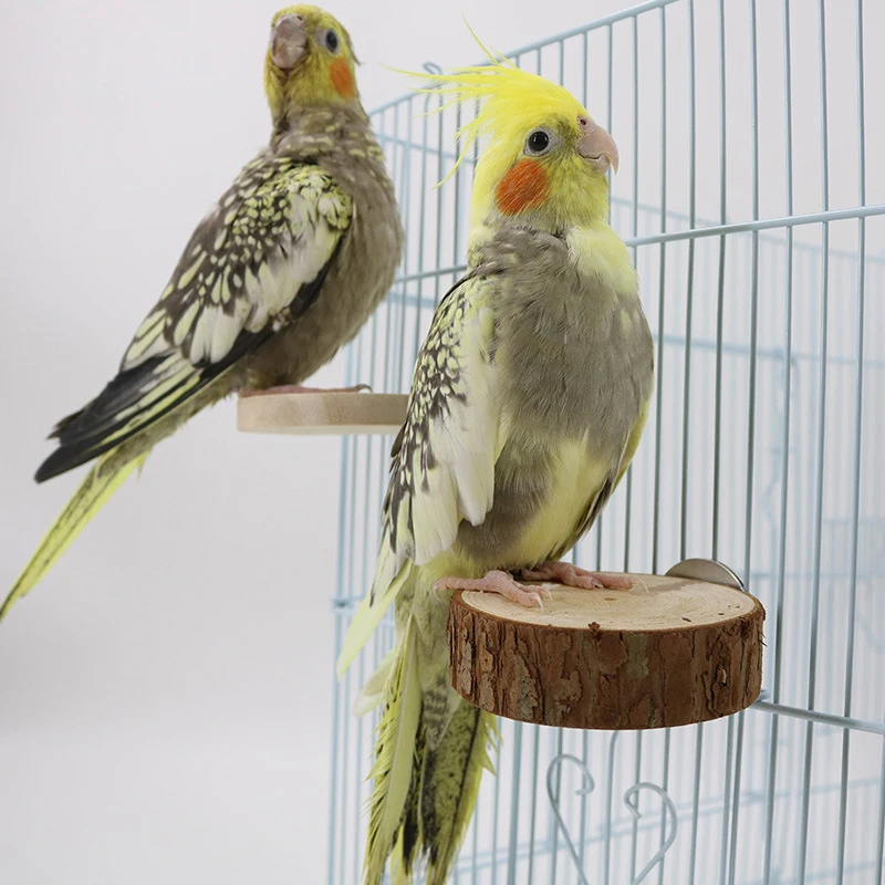 

Круглая деревянная белка, попугай, фотоподставка, платформа для домашних животных, детский попугай, деревянная платформа, товары для домашних животных, игрушки