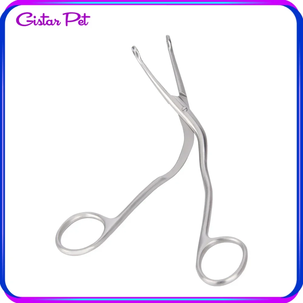 Veterinary Surgical Instruments Pliers Laryngeal Forceps fish bone clamp Veterinary Clinic Treatment Equipment