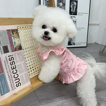 강아지용 귀여운 강아지 옷, 여름 공주 드레스, 테디 베어 강아지 옷, 작은 강아지용 귀여운 강아지 옷