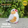 Grey Pearl Bird Plush Toy Zebra Finch Plushie Birds Plush Toys Lifelike Stuffed Animals Simulation Doll Toy For Kids 1