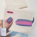 Nanjizhiguang04