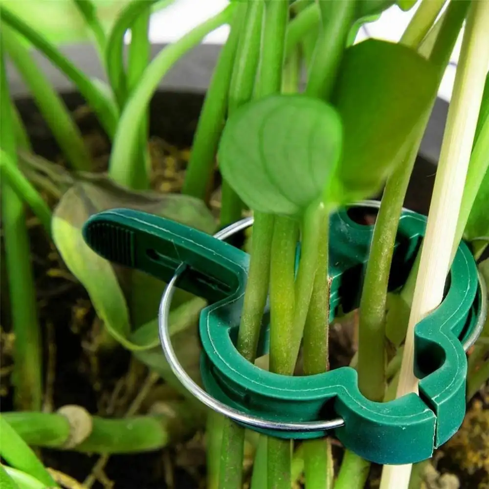 10 Reusable Plant Clips Eight Buckles Weatherproof and RustproofIdeal for Tomato Cucumber Pepper MelonPlant Stem Support Tool