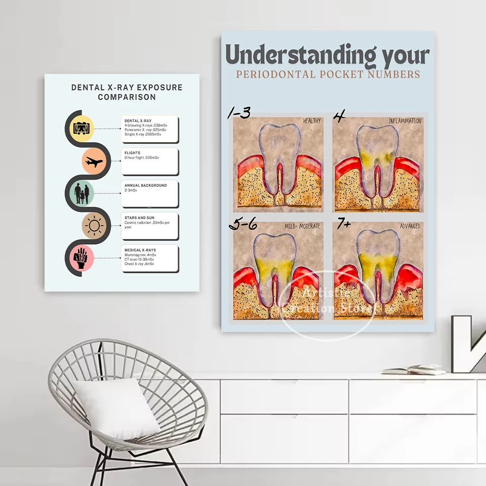 Tooth Anatomy Education Poster 3