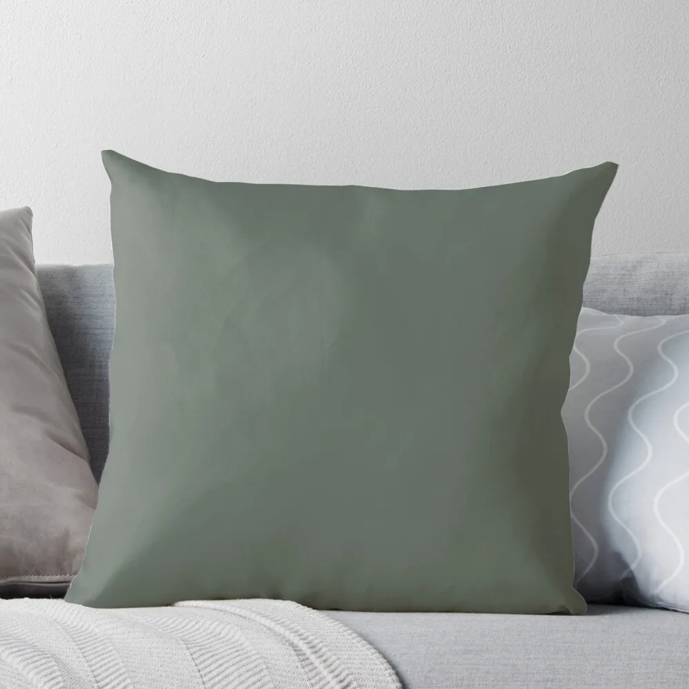 

Green Smoke Paint Color Wall Farrow and Ball Throw Pillow Room decorating items Plaid Sofa Pillowcases For Pillows