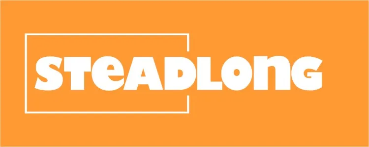 Steadlong Light Store