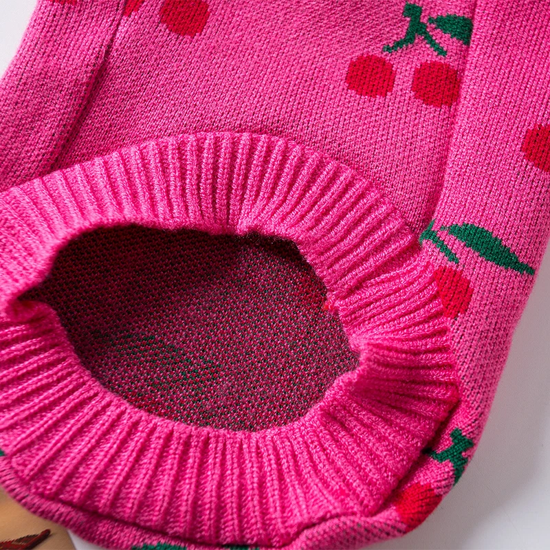 Pull Pour Chien Motif Cerises Vêtement Chaud En Tricot_voghion.com