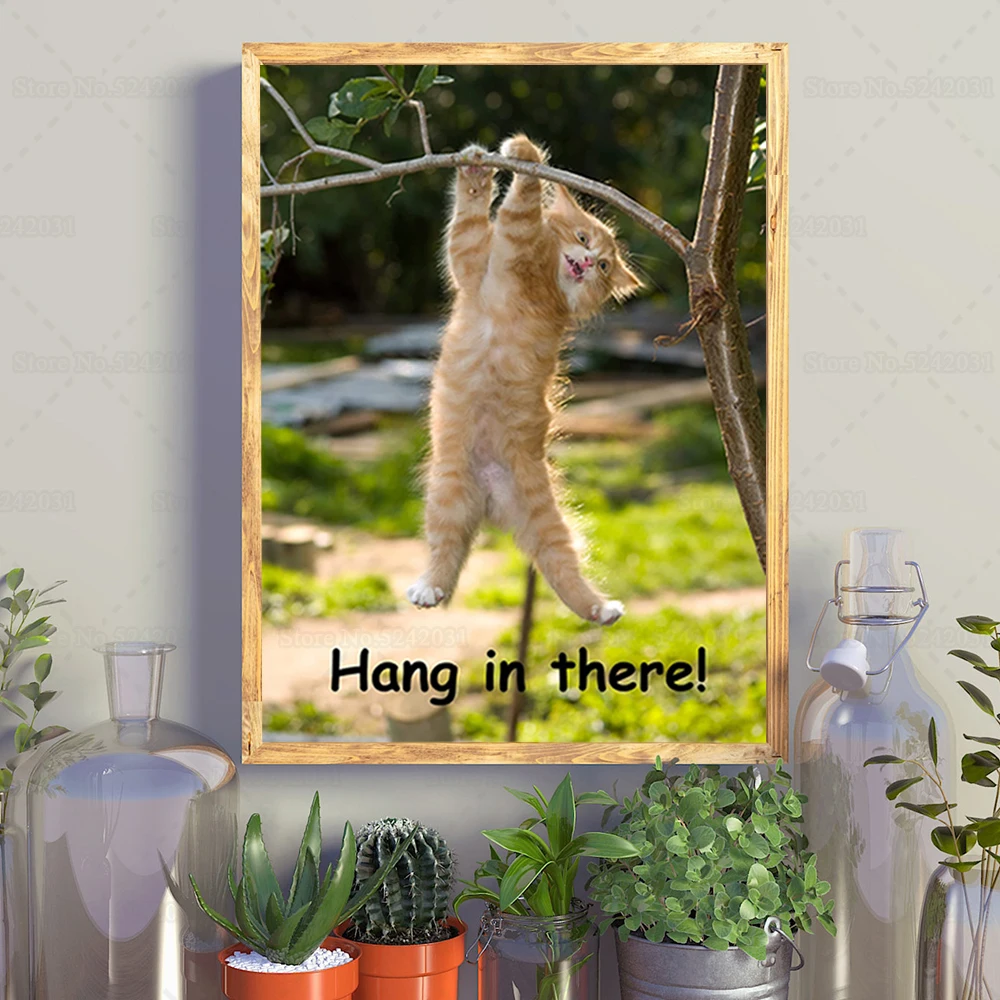 Hang in there cat