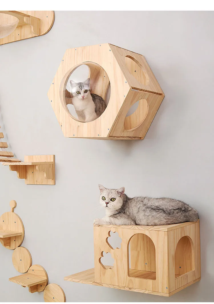 Se144331911a347fa885cb134cb1a91daI