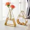 Hollow Geometric Golden Glass Vase Hydroponic Plant Holder Iron Flower Planter Hydroponic Container home decor ваза для цветов 1