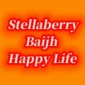 stellaberry Baijh Happy Life Store
